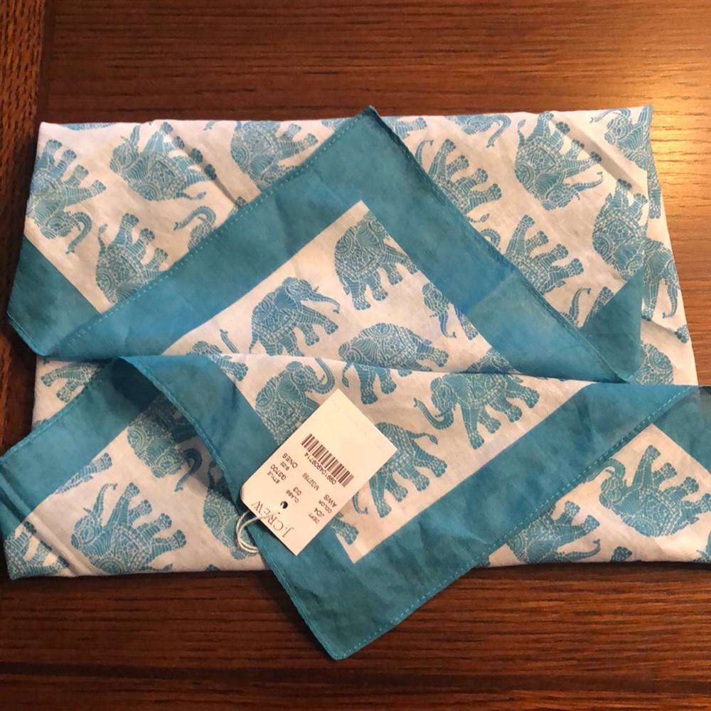 j.Crew Scarf